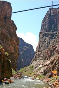 big-horn-sheep-canyon